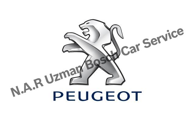 Beylikdüzü Peugeot Servisi